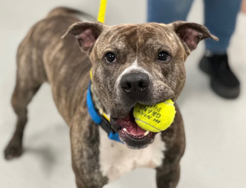 G bfHvDWcAAMQn8?format=jpg.jpg