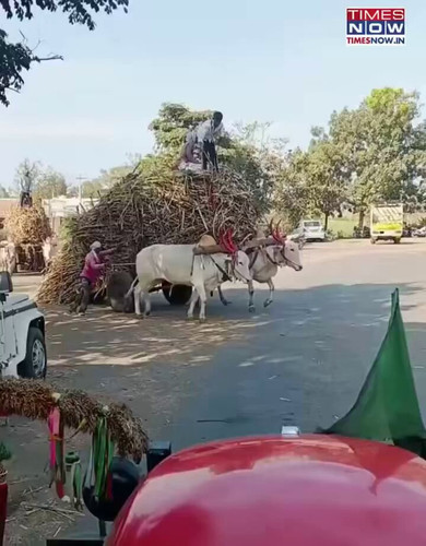 1reJsVlXFzFCUNY1.jpg