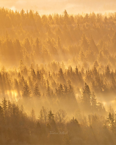 G 0VbK8aQAEj Ps?format=jpg.jpg