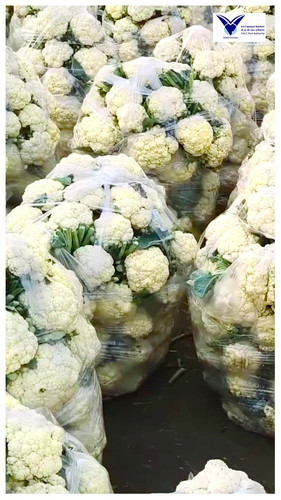 RQpFPjcFM0z6Xir .jpg