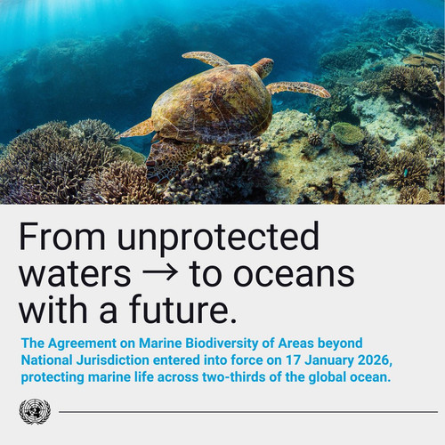 G z8Jm3XIAIhAhY?format=jpg.jpg