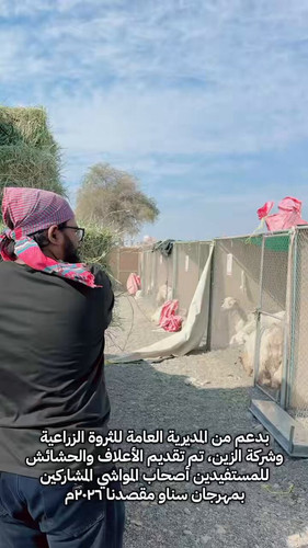 bmZk c CDaMaSmkc.jpg