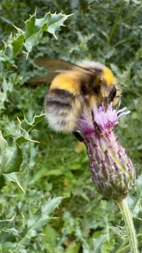 DPPgP dDTFkVz0Aa.jpg