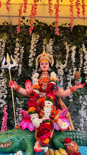 34CBBDB7 CA94 4CD9 88EA 3D85F201CD2E.jpg