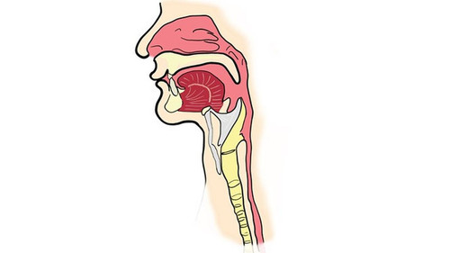 043376000 1601445419 faring.jpg