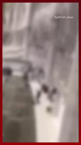 Y TFQnjYi3T9im3a.jpg