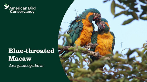 S0R B2pWx7LAQ8Ym.jpg