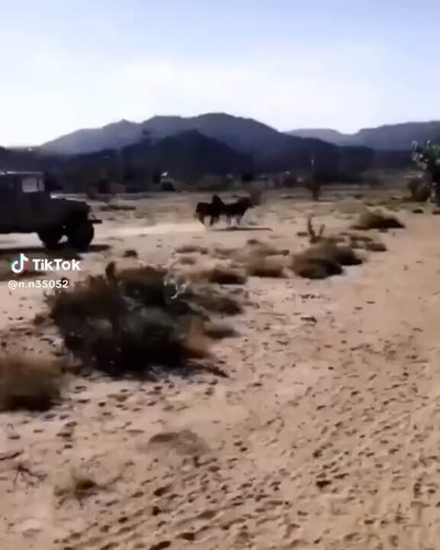 xJ HnWJfQD1uBL4T.jpg