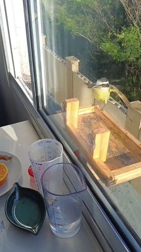 sgRiVsYg gfG0E9P.jpg