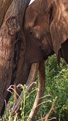 MvW x nkaQtBA2ZS.jpg