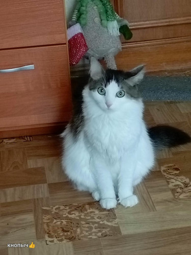 G xjRKWWsAApAnC?format=jpg.jpg