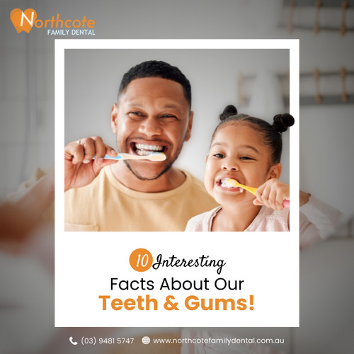 10 Interesting Facts About Our Teeth & Gums!.jpg