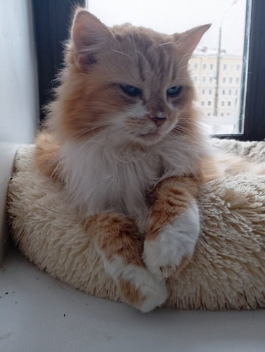 G zSFXdXoAAN5UZ?format=jpg.jpg