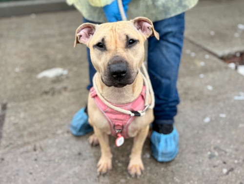 G B9mQYXQAAa88Z?format=jpg.jpg