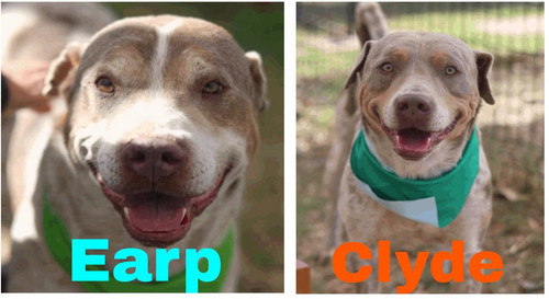 G ztH5QW0AI9W85?format=jpg.jpg