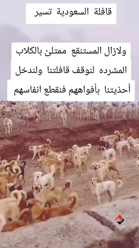 xaGBnhJydsBcxO2o.jpg