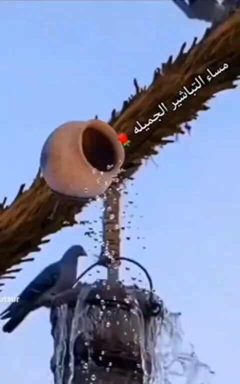 Xdu78Hluh2Lgvj4d.jpg