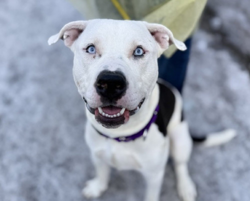 G bPZe3aQAAqYxT?format=jpg.jpg