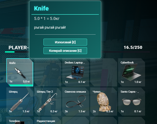 FiveM GTAProcess 2kWNPZXlK1.png