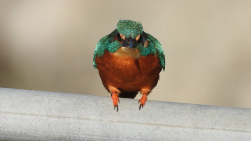 G zu4mJXIAAM0P0?format=jpg.jpg