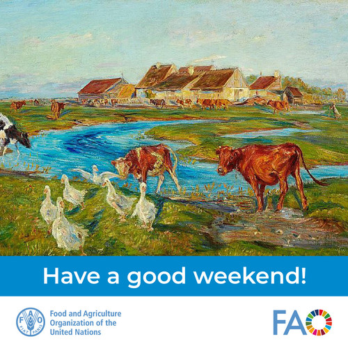 G yke6aXoAECBMP?format=jpg.jpg