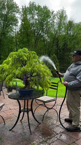 rK RKAeQbL9HAON5.jpg