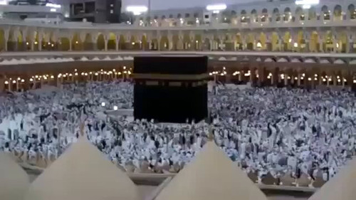 23wPOLt2C 1LB79O.jpg