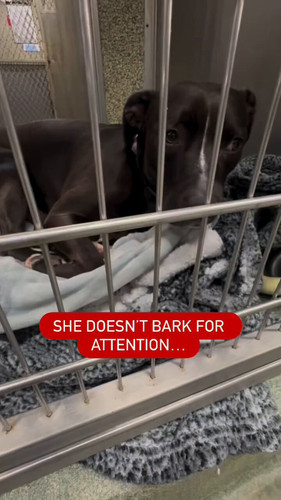 h sZuR IfYYE7xZ8.jpg