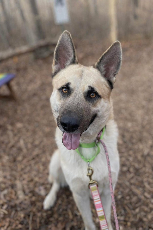 G 6OuVHX0AEga z?format=jpg.jpg