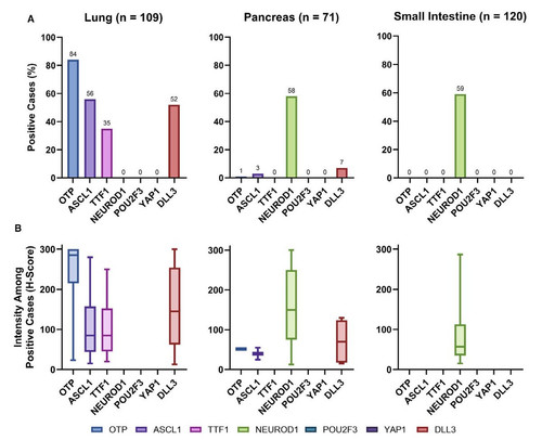 G 3 YLWEAAzutb?format=jpg.jpg