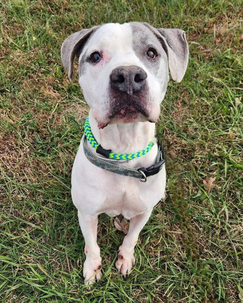 G 4w2JEW0AAXogE?format=jpg.jpg