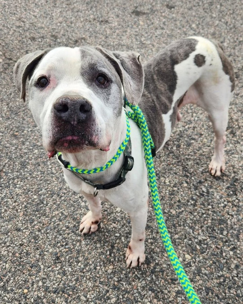 G 4w2JEWoAA1rNf?format=jpg.jpg