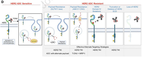 G 0hNWYXEAAvgVH?format=jpg.jpg