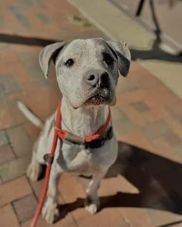 G 4w2JDXIAAKLlC?format=jpg.jpg