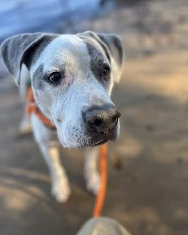 G 4w2JDXcAAhvf8?format=jpg.jpg