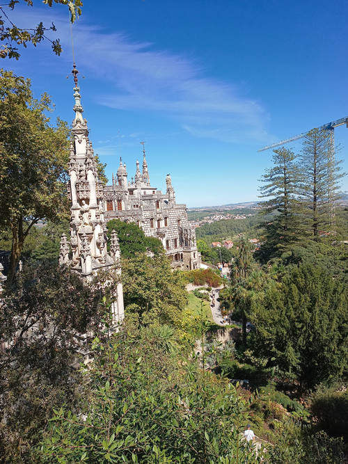 IMG 20250924 125507511 MP.jpg