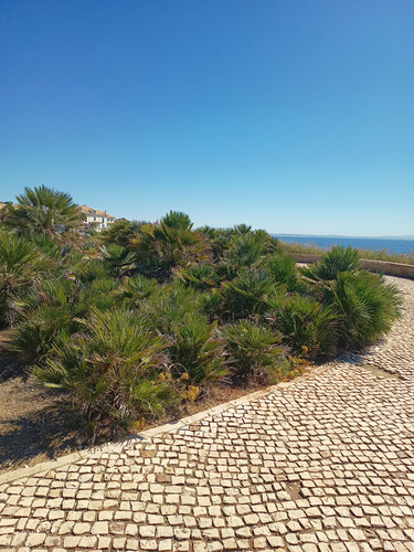 IMG 20250923 120754450 MP.jpg