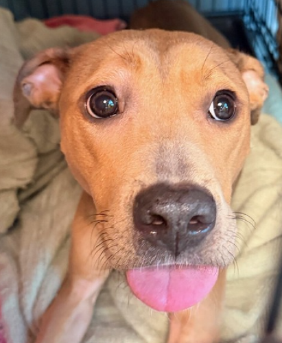 G 4L8ZXWQAEf7ax?format=png.png