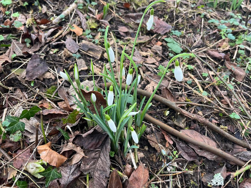 G 7bRpfW0AAHOY6?format=jpg.jpg