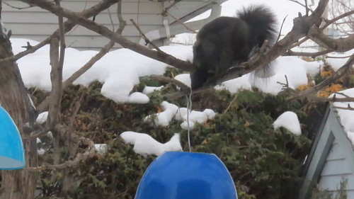 Z 20TIT9WLFLCZPQ.jpg