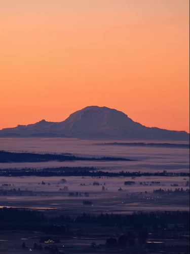 jZUXJ0L864c 6dW5.jpg