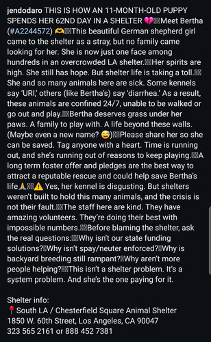 G 5eyvzaUAATV E?format=jpg.jpg