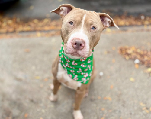 G CAm 9XQAAHyO4?format=jpg.jpg