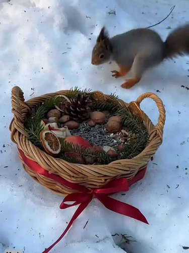 Ju1xLCaY WWpfYg .jpg