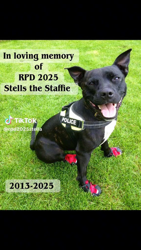 xvakwjZBqY7Z Uaz.jpg