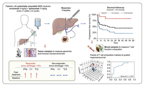 G 3hxrGWUAAsKbj?format=jpg.jpg