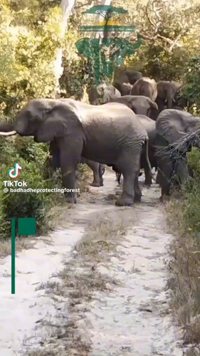 9Fz DzclHXdMN12f.jpg