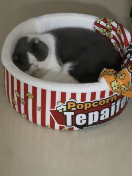 26DDA3D7 3220 44E9 A06B 3090DAF55327.jpg