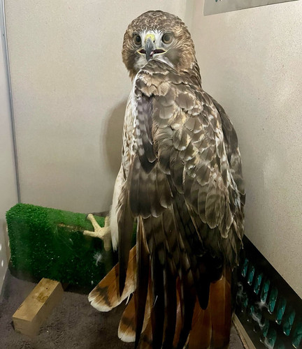 G gwZprWgAE6b p?format=jpg.jpg