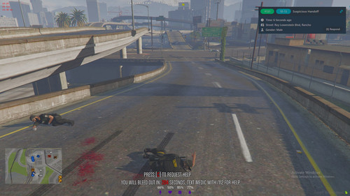 FiveM GTAProcess dpPVRn2wY2.jpg